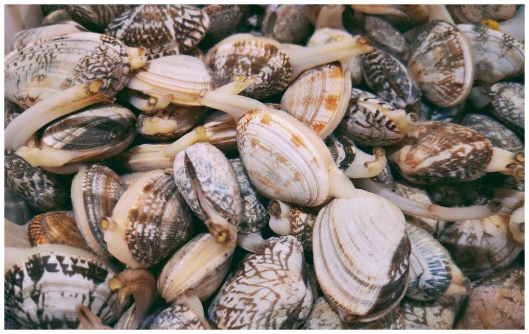海鮮福利大放送，萬州的朋友們趕緊來，99竟可以買這些......